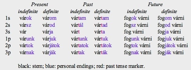 do-vs-does-english-grammar-examples-2021